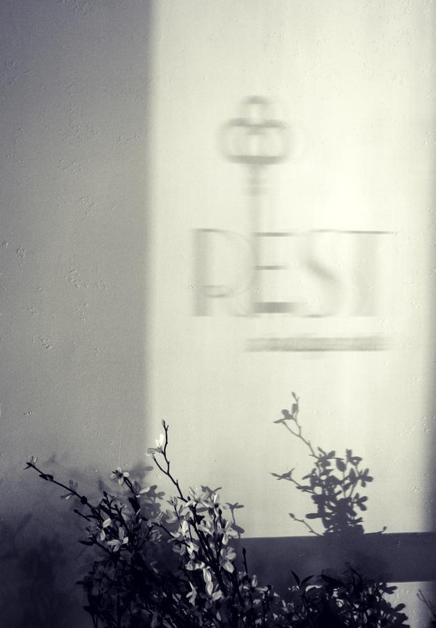 Rest, A Boutique Hotel Plymouth Eksteriør billede